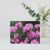 Rhododendren, Quebec, Kanada Postkarte (Stehend Vorderseite)