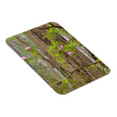 Rhododendren | Redwoods Staat Park, CA Magnet (Rechte Seite)