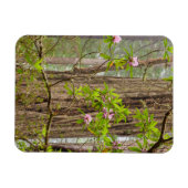 Rhododendren | Redwoods Staat Park, CA Magnet (Horizontal)