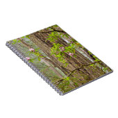 Rhododendren | Redwoods Staat Park, CA Notizblock (Rechte Seite)