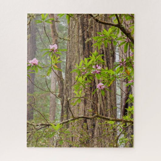 Rhododendren | Redwoods Staat Park, CA Puzzle (Vertikal)