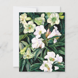 Rhododendren von Nordindien Karte