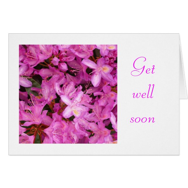 Rhododendron (Vorderseite (Horizontal))