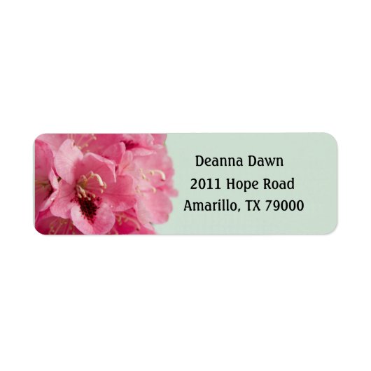 Rhododendron (Vorne)