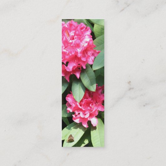 Rhododendron 2 mini visitenkarte (Rückseite)