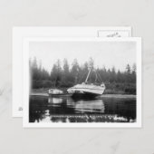 Rhododendron am Quillayute-Fluss Postkarte (Vorne/Hinten)