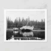 Rhododendron am Quillayute-Fluss Postkarte (Vorderseite)