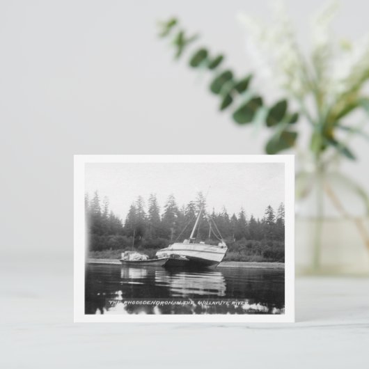 Rhododendron am Quillayute-Fluss Postkarte (Stehend Vorderseite)