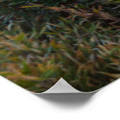 Rhododendron Blooming | Taroko National Park Poster (Ecke)