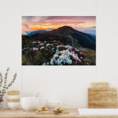 Rhododendron Blooming | Taroko National Park Poster (Küche)