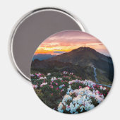Rhododendron Blooming | Taroko-Nationalpark Magnet (Vorderseite/Rückseite)