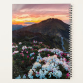 Rhododendron Blooming | Taroko-Nationalpark Planer (Rückseite)