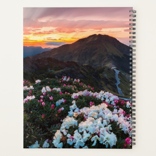 Rhododendron Blooming | Taroko-Nationalpark Planer (Rückseite)