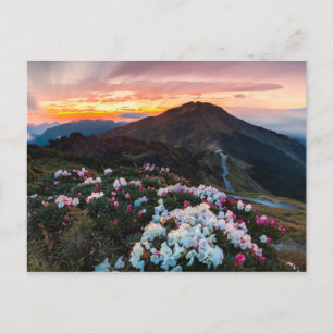 Rhododendron Blooming   Taroko-Nationalpark Postkarte