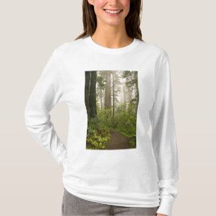 Rhododendron blühend unter den Küstenmammutbäumen T-Shirt