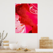 Rhododendron BLÜHT, Poster (Küche)
