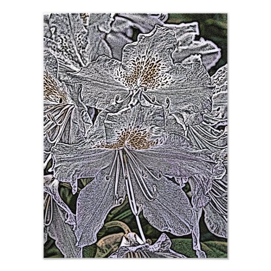 RHODODENDRON-BLUME FOTODRUCK (Vorne)