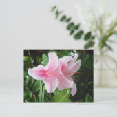 Rhododendron-Blume Postkarte (Stehend Vorderseite)