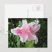 Rhododendron-Blume Postkarte (Vorne/Hinten)