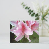 Rhododendron-Blume Postkarte (Stehend Vorderseite)