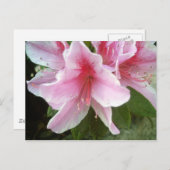 Rhododendron-Blume Postkarte (Vorne/Hinten)