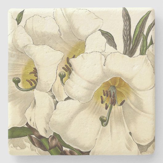 Rhododendron-BlumenBlumen-SteinUntersetzer Steinuntersetzer (Vorderseite)