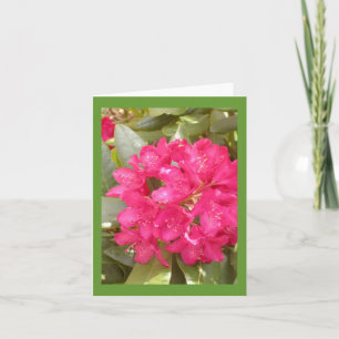 Rhododendron-Blumengrußkarte Karte