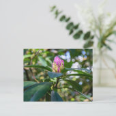Rhododendron-Blütenknospe Postkarte (Stehend Vorderseite)