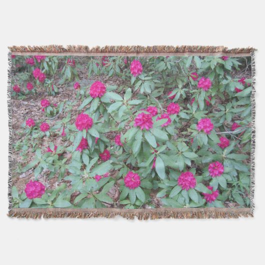Rhododendron Decke (Vorderseite)