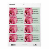 Rhododendron Elegantes florales Versandlabel (Vorne)