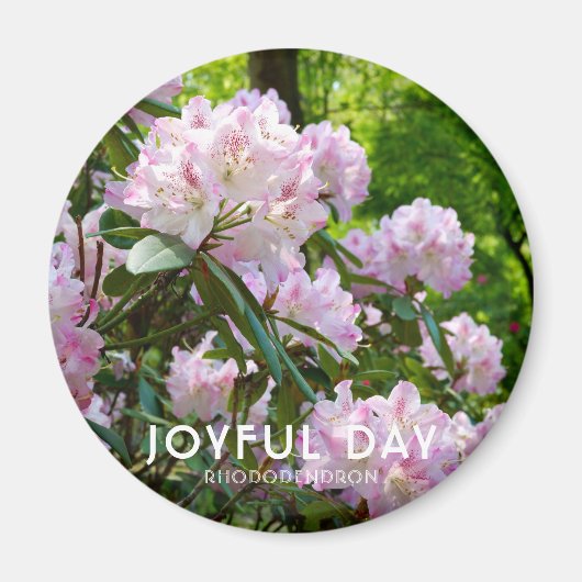 Rhododendron "Freudiger Tag" Magnet (Vorne)