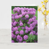 Rhododendron, Friend Karte (Gelbe Blume)