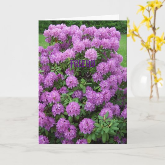 Rhododendron, Friend Karte (Gelbe Blume)