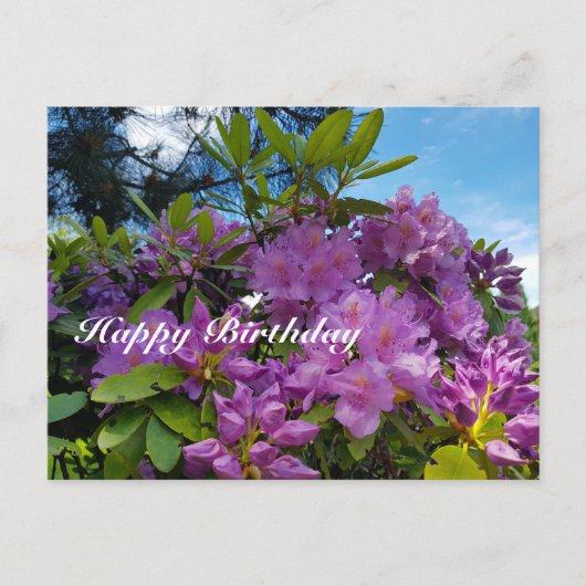 Rhododendron-Happy Birthday blühend Feiertagspostkarte (Vorderseite)