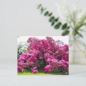 Rhododendron Hirado Azarea Postkarte (Stehend Vorderseite)