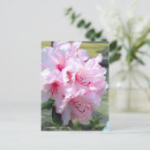 Rhododendron 'Hydon Down' [Postkarte] Postkarte (Stehend Vorderseite)