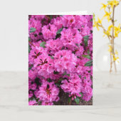 Rhododendron in Full Bloom! Karte (Gelbe Blume)
