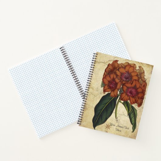 Rhododendron Javanicum Notizblock (Innenseite)