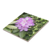 Rhododendron - lila Blumen im Frühling Fliese (Seite)
