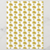 Rhododendron luteum (Pontic Azalea) (Vorderseite)