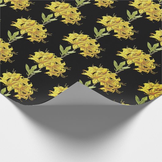 Rhododendron luteum (Pontic Azalea) Geschenkpapier (Ecke)