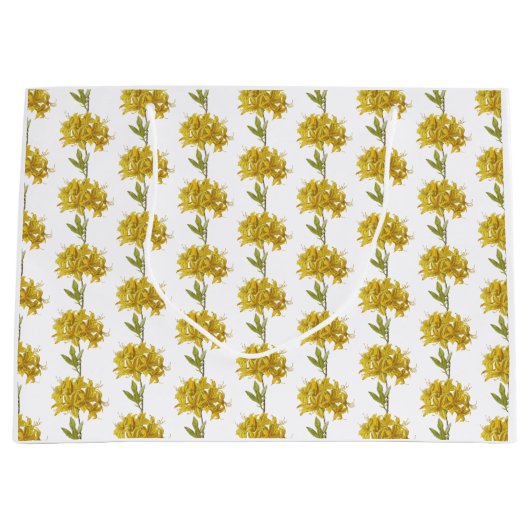 Rhododendron luteum (Pontic Azalea) Große Geschenktüte (Vorderseite)