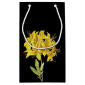 Rhododendron luteum (Pontic Azalea) Kleine Geschenktüte (Rückseite)