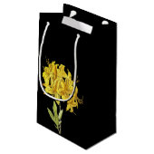 Rhododendron luteum (Pontic Azalea) Kleine Geschenktüte (Rückseite Schrägansicht)