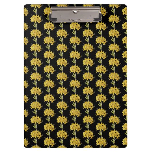 Rhododendron luteum (Pontic Azalea) Klemmbrett (Vorderseite)