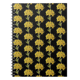 Rhododendron luteum (Pontic Azalea) Notizblock