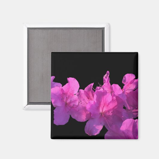 Rhododendron Magnet (Vorderseite/Rückseite)