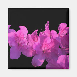 Rhododendron Magnet