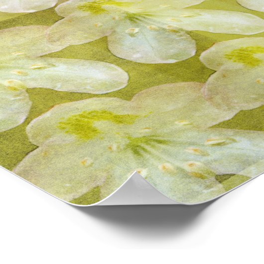 Rhododendron Max Poster (Ecke)