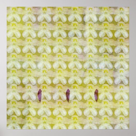 Rhododendron Max Poster (Vorne)